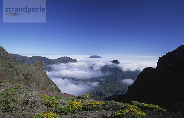 Blick vom Aussichtspunkt mirador de los Andenes in den Krater Caldera de Taburiente  La Palma  Kanarische Inseln  Spanien