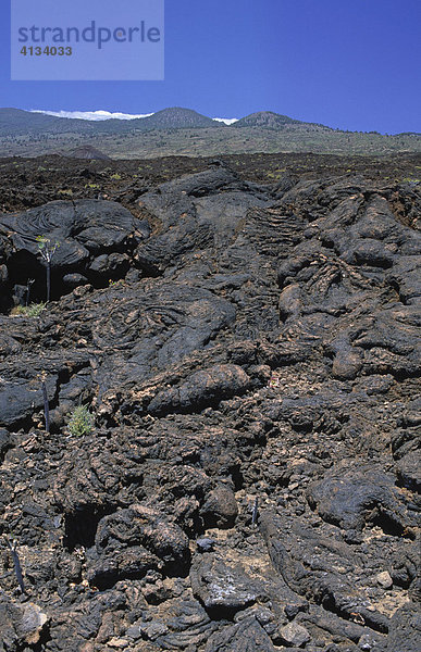 Typische Vulkanlandschaft bei La Restinga  El Hierro  Kanarische Inseln  Spanien