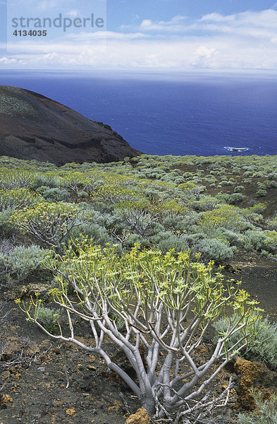 Typische Vulkanlandschaft bei La Restinga  El Hierro  Kanarische Inseln  Spanien