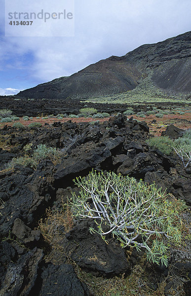 Typische Vulkanlandschaft bei La Restinga  El Hierro  Kanarische Inseln  Spanien