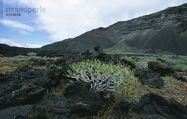 Typische Vulkanlandschaft bei La Restinga  El Hierro  Kanarische Inseln  Spanien