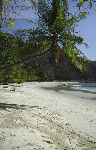 Playa Blanca  Punta Leona  pazifische Küste  Costa Rica  Mittelamerika