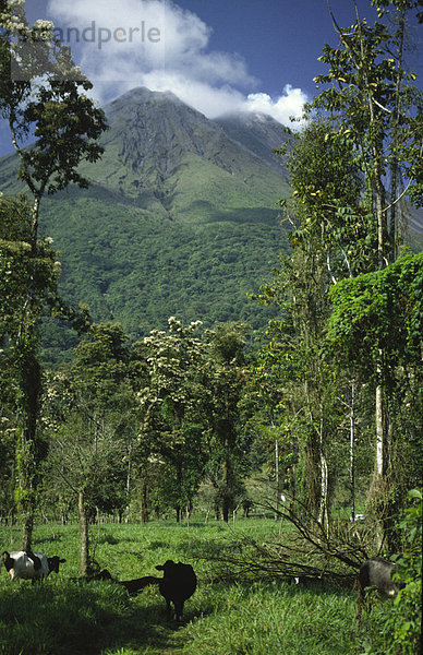 Arenal Vulkan bei La Fortuna  Costa Rica  Mittelamerika