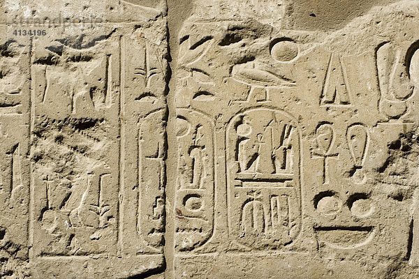 Hieroglyphen im Luxor-Tempel  Luxor  Niltal  Ägypten  Afrika