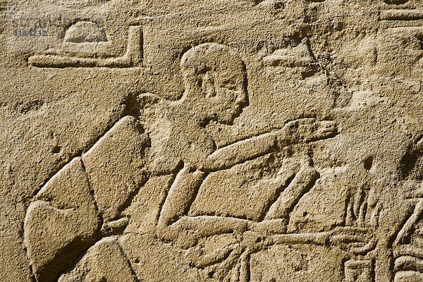 Hieroglyphen im Luxor-Tempel  Luxor  Niltal  Ägypten  Afrika