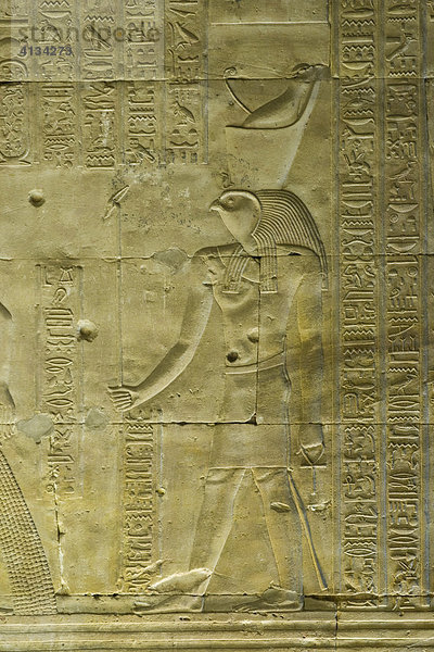 Hieroglyphe des Gottes Horus  Horus Tempel  Edfu  Luxor  Niltal  Ägypten  Afrika