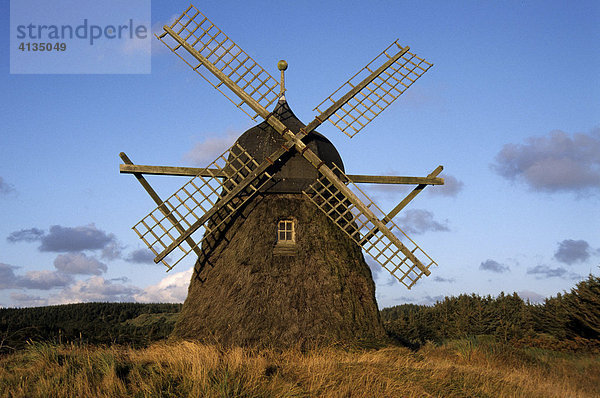Mühle von Gronnestrand  einzige Mühle  die noch komplett mit Heidekraut isoliert ist  Nordjütland  Dänemark