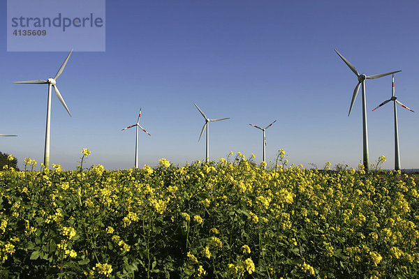 Windkraftanlage bei Soest  Nordrhein-Westfalen  Deutschland