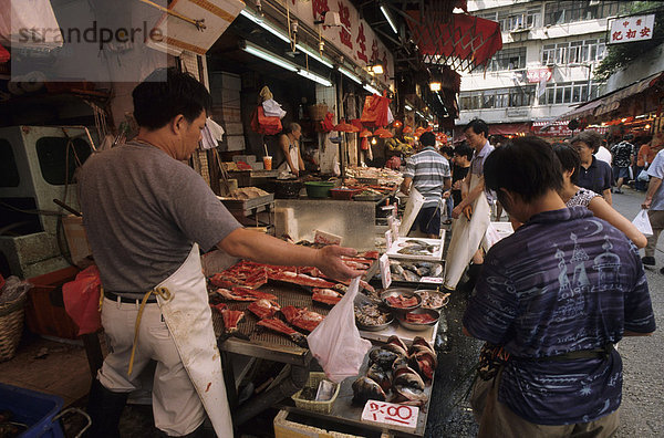 Fischladen in Wan Chai  Hongkong Island  Hongkong  China