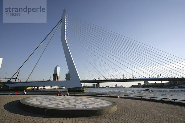 Erasmusbruk  Brücke über die Nieuwe Maas  Rotterdam  Niederlande