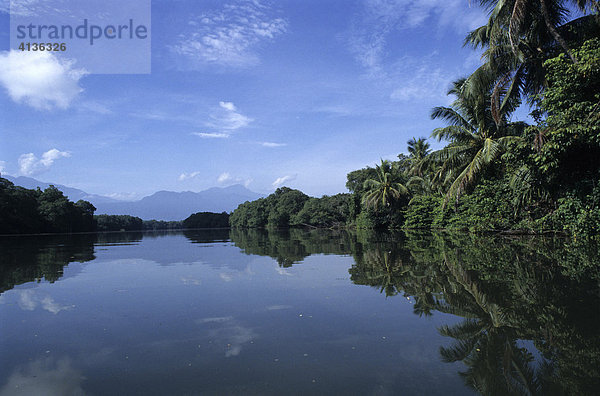 Rio Salado  Estero Garcia  Honduras