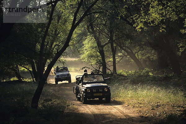 Ranthambhore Nationalpark  Safari mit Geländewagen  Ranthambhore  Indien