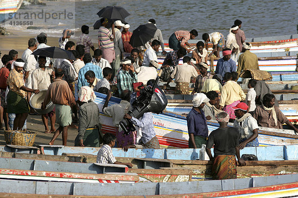 IND  Indien  Kerala  Trivandrum : Fischerort Vizhnijam  suedlich von Trivandrum. Basis fuer viele lokale Fischer und ihrer Boote  Fischmarkt. |