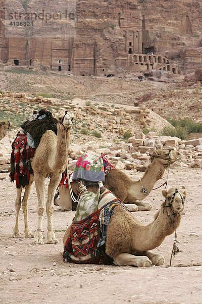 JOR  Jordanien  Petra : Touristen koennen auf Pferden  Eseln oder Kamelen in Teile von Petra reiten. e.Nabataeerstadt Petra  Ruinenkomplex an der Koenigsstrasse.