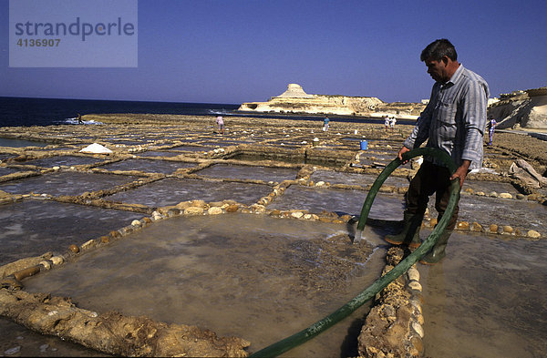 Salinen an der Küste bei Marsalforn  Salzgewinnung  Insel Gozo  Malta