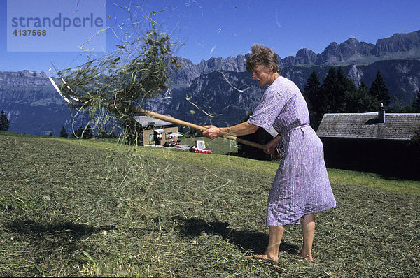 CHE  Schweiz  Kanton St. Gallen : Bäuerin beim Heuwenden  Pizol Berg
