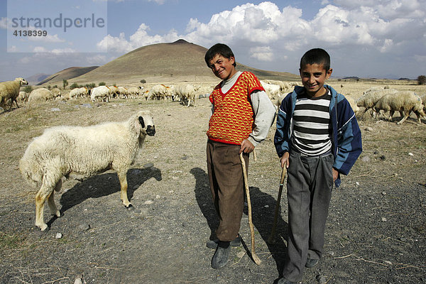 Junge Schafhirten  zwischen Derinkuyu und Güzelyurt  Kappadokien  Türkei