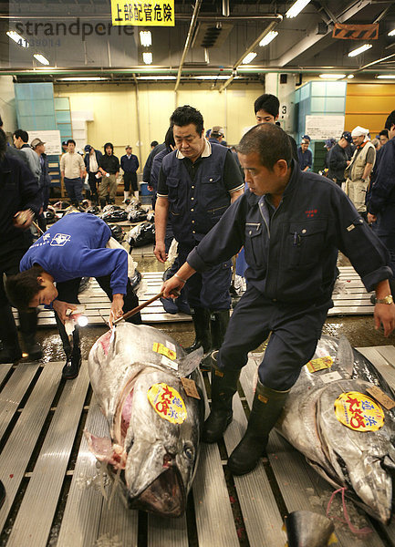 Thunfische  Fischmarkt  Tsukiji  Tokio  Japan  Asien