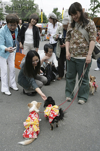 Hundehalter  kleine Hunde an der Leine  Tokio  Japan  Asien