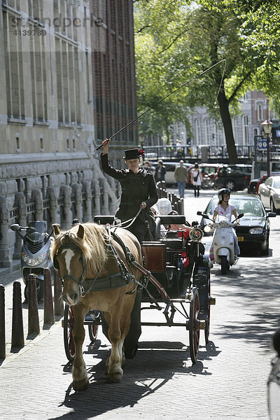 Pferdekutsche fuer Stadtrundfahrten  Amsterdam  Niederlande