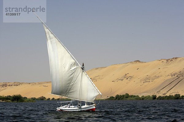 Felucke  traditionelles Segelboot  auf dem Nil bei Assuan  Ägypten  Afrika