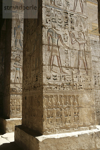 Hieroglyphen  Habu Tempel Anlage  Ramses III Totentempel  Theben-West  Luxor  Ägypten  Afrika