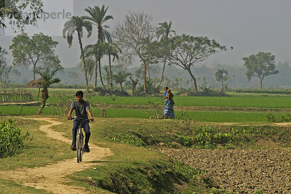 Junger Mann auf Fahrrad  junge Frau mit Kind zwischen Palmen und Reis-Feldern  Westbengalen  Indien