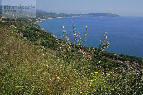 Küste nördlich von Capo Palinuro bei Stazione Caprioli  Nationalpark Cilento  Kampanien  Provinz Salerno  Italien