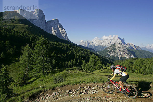 Mountainbikerin mit Monte Pelmo und Civetta im Hintergrund  Dolomiten  Italien