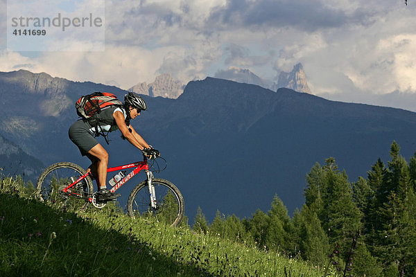 Mountainbikerin am Karerpass  mit Pala-Gruppe im Hintergrund  Dolomiten  Italien