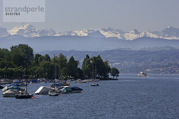 Zürichsee mit Alpenpanorama bei Zürich  Schweiz