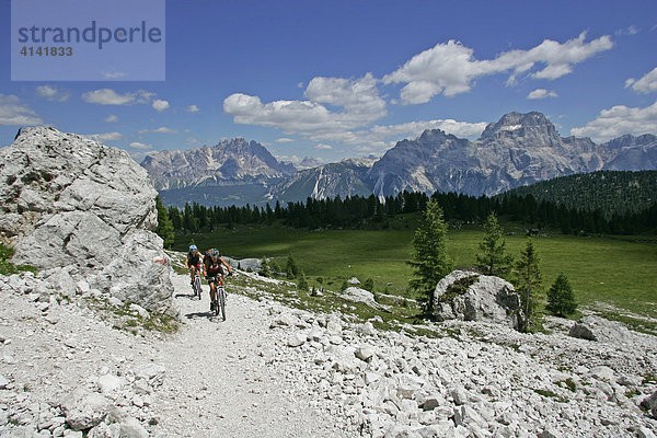 Mountainbike-Fahrerinnen an der Croda da Lago  mit Cristallo- und Sorapis-Massiv  Dolomiten  Italien