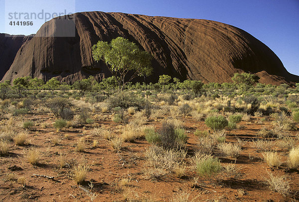 Ayers Rock  Uluru  Red Centre  Northern Territory  Australien