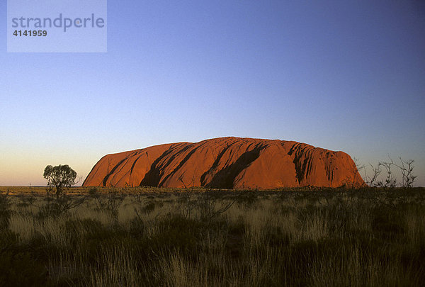 Ayers Rock  Uluru im Abendlicht  Red Centre  Northern Territory  Australien