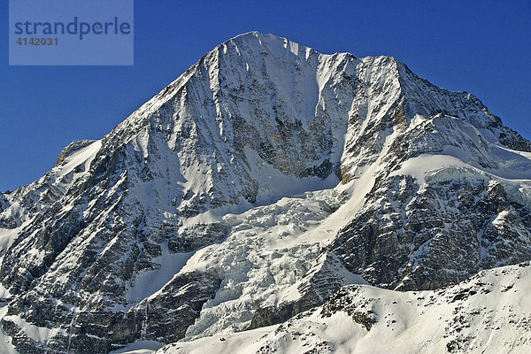 Blick auf die Königsspitze aus dem Skigebiet Sulden  Südtirol  Italien