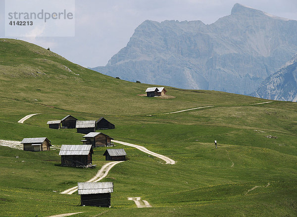 Almenhochfläche in den Dolomiten  Südtirol  Italien
