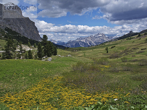 Blick vom Passo die Falzarego Richtung Cortina d'Ampezzo  Dolomiten  Südtirol  Italien