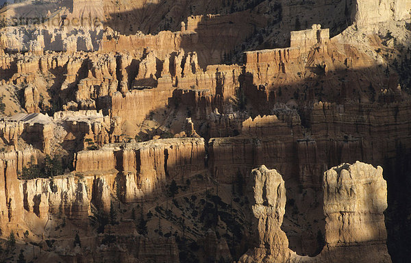 USA  Vereinigte Staaten von Amerika  Utah: Bryce Canyon National Park  Amphietheater.