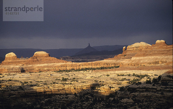 USA  Vereinigte Staaten von Amerika  Utah: Canyonlands National Park  The Needles District.