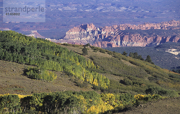 USA  Vereinigte Staaten von Amerika  Utah: an der US 12  Dixie National Forest.