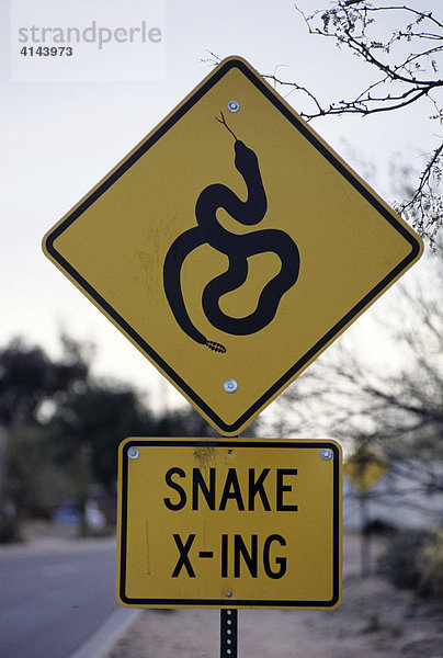 USA  Vereinigte Staaten von Amerika  Arizona: Verkehrsschild mahnt auf Schlangen zu achten die die Wuestenstrasse ueberqueren.