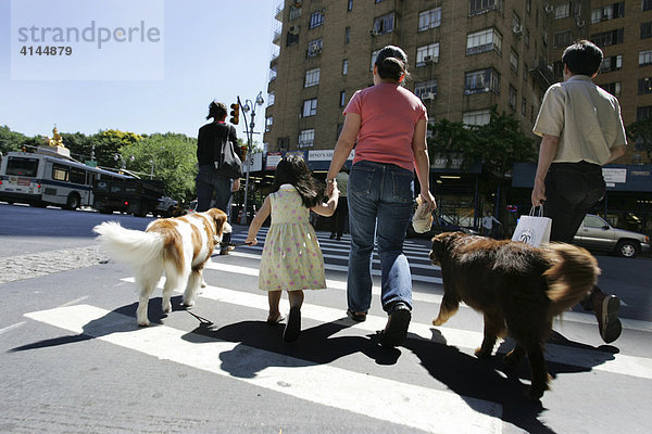 USA  Vereinigte Staaten von Amerika  New York City: Hundehalter beim Spaziergang mit ihren Hunden. Nanny  Kinderfrau mit Kind und Hunden beim Spaziergang.