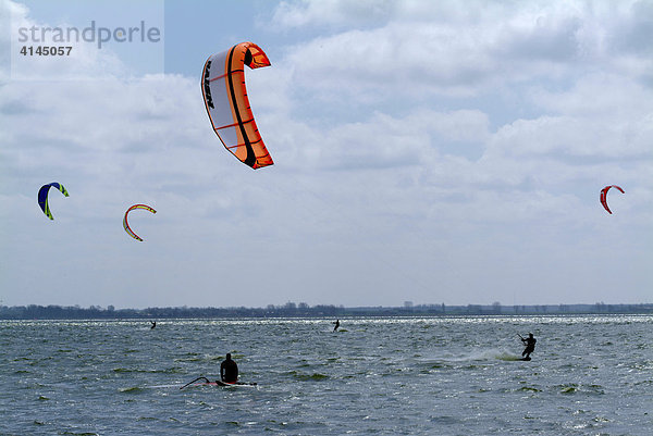 DEU  Deutschland  Darss:Kitesurfer im Saaler Bodden  Binnenmeer.