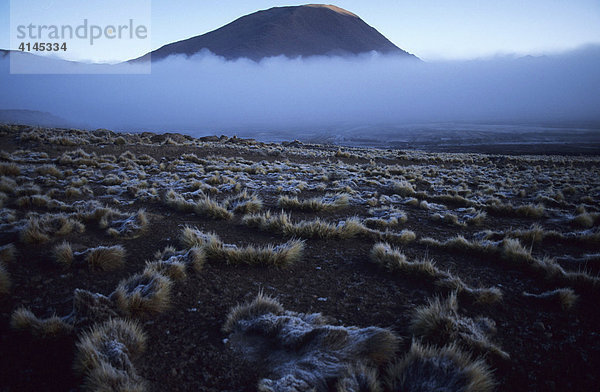 CHL  Chile  Atacama-Wueste: Morgennebel ueber den Geysiren von El Tatio.