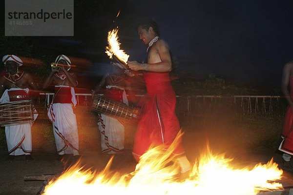 LKA  Sri Lanka  Kandy: Feuertanz  Laufen auf gluehender Kohle.Traditioneller Tanz  Kohomba  Kandy Dance  zu Ehren des Gottes Kohomba. Auffuehrung fuer Touristen.