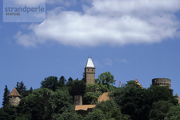 Burg Hirschorn im Neckartal  Hessen  Deutschland  Europa