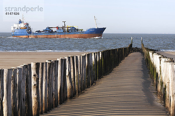 Buhne am Nordseestrand  vorbeifahrendes Frachtschiff  Zoutelande  Walcheren  Zeeland  Niederlande  Europa