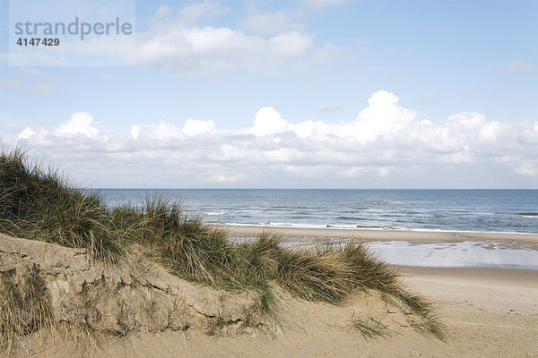 Blick über Dünen auf die Nordsee bei Zoutelande  Walcheren  Zeeland  Niederlande  Europa