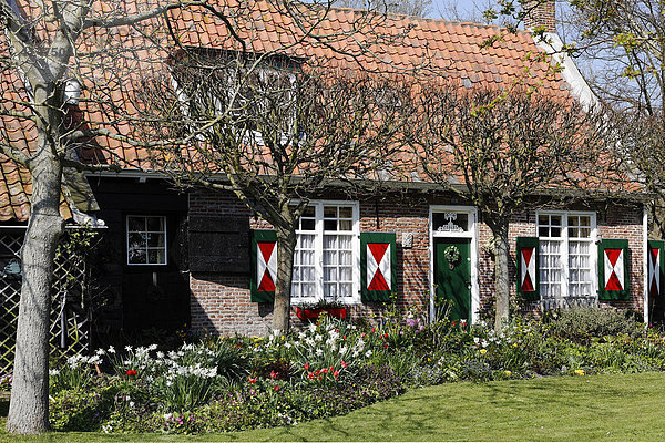 Kleines altes Haus mit Bauerngarten im Frühling  Walcheren  Zeeland  Niederlande  Europa