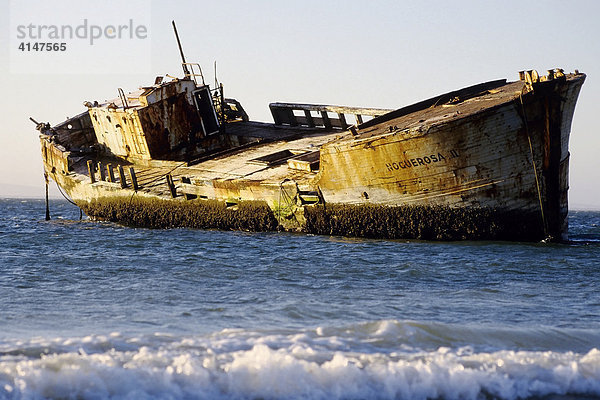 Verrostetes Schiffswrack im Meer  Langebaan  Western Cap  Kapprovinz  Südafrika  Afrika